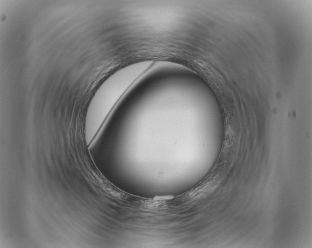 X0000088860096200706080801