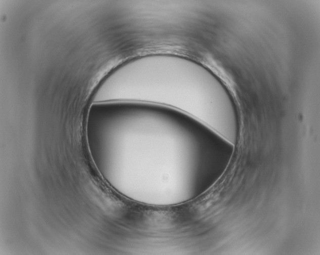 X0000088860107200706080800