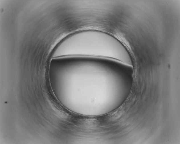 X0000088860108200706080800