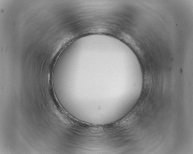 X0000088860110200706080800