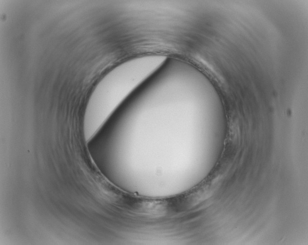 X0000088860117200706080800