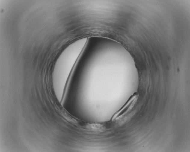 X0000088860137200706080800