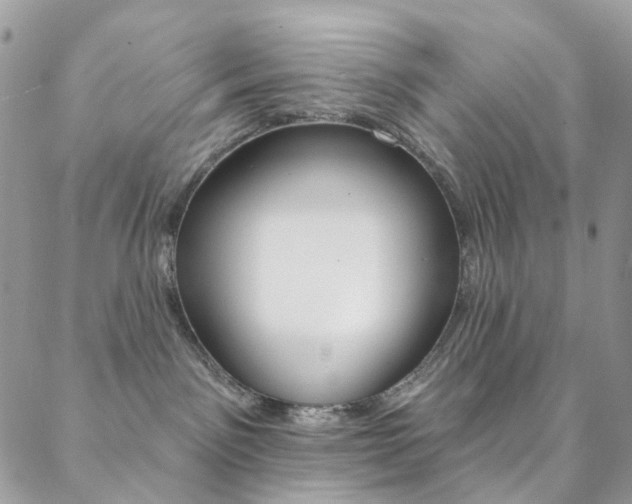 X0000088860141200706080800