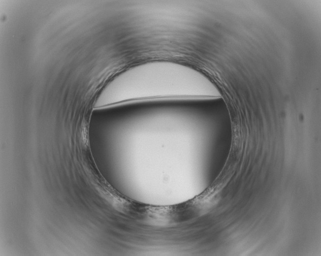 X0000088860143200706080800