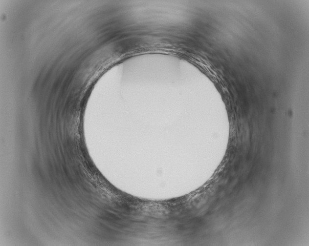 X0000088860146200706080759