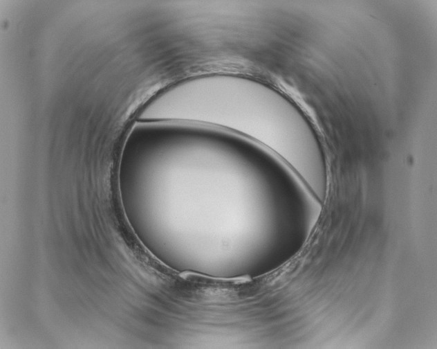 X0000088860154200706080759