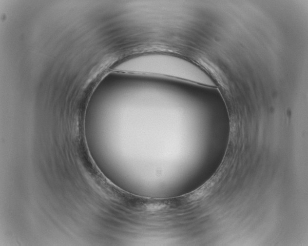 X0000088860158200706080759