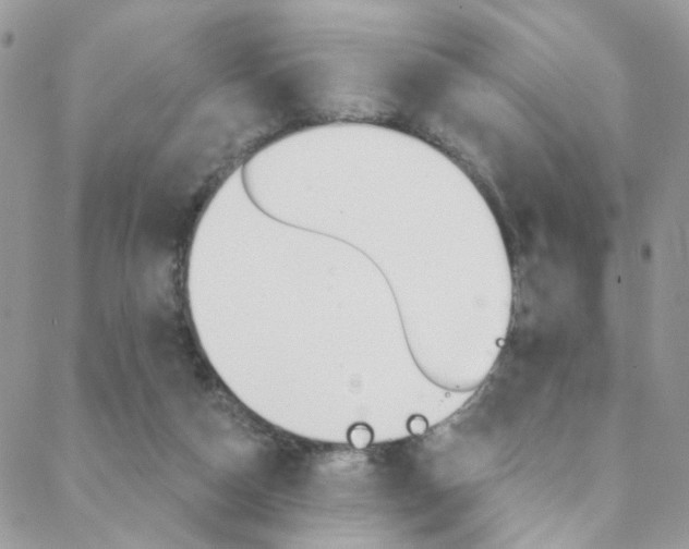 X0000088860162200706080759