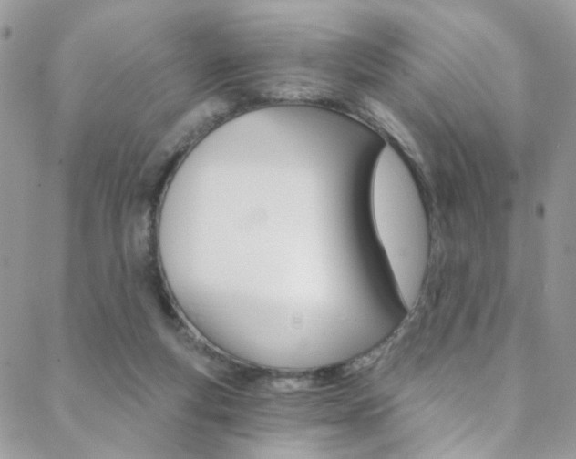 X0000088860163200706080759