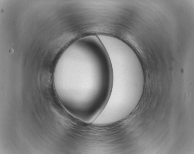 X0000088860164200706080759