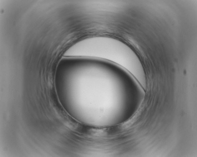 X0000088860170200706080759