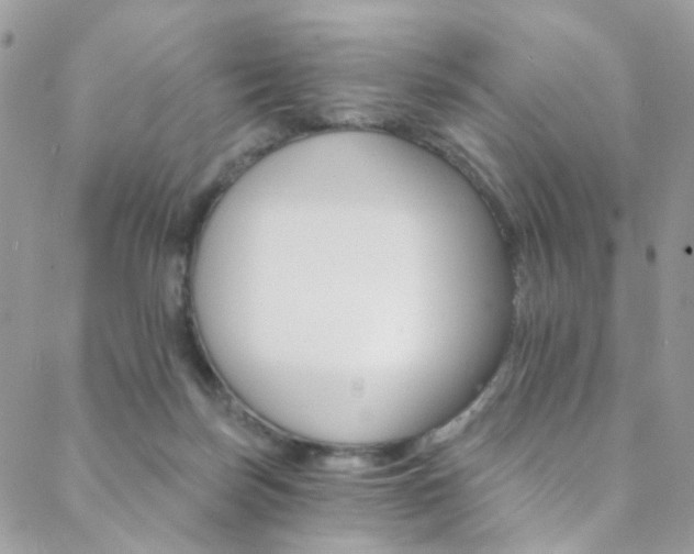 X0000088860171200706080759