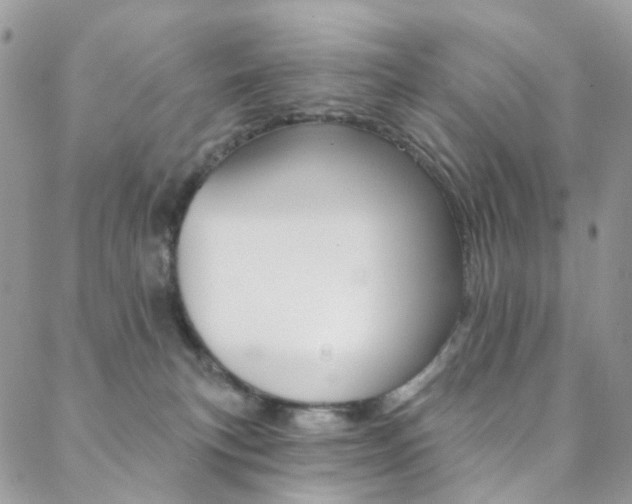 X0000088860183200706080800