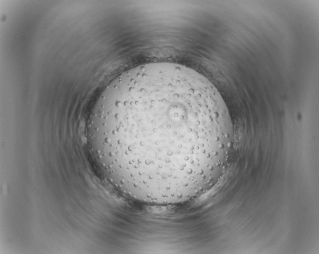 X0000088860187200706080800