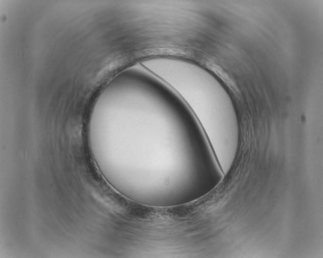 X0000088860207200706080759