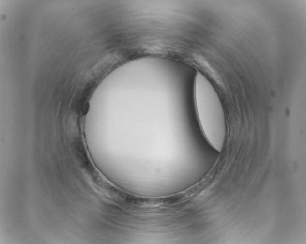 X0000088860213200706080759
