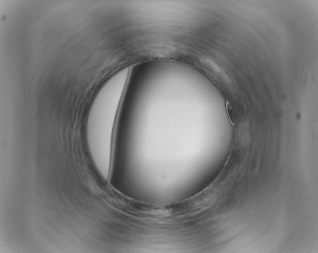 X0000088860217200706080759