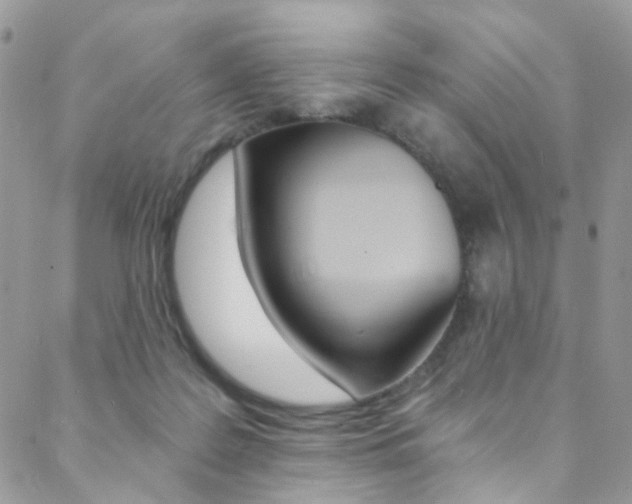 X0000088860219200706080759