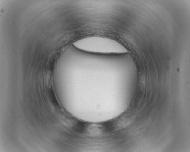X0000088860222200706080758