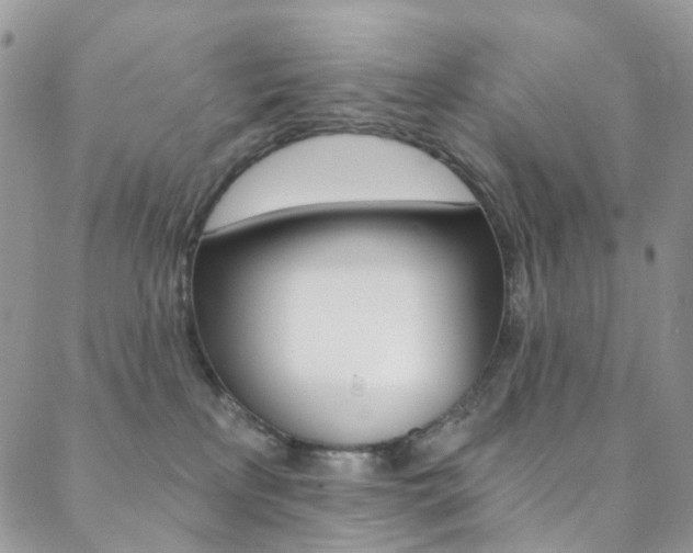 X0000088860233200706080758