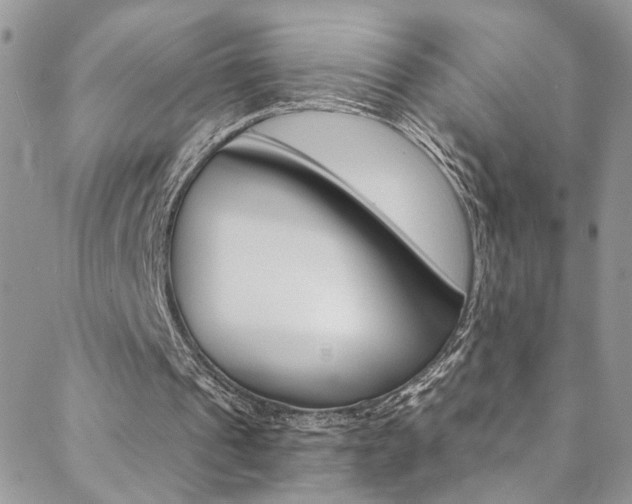 X0000088860241200706080757