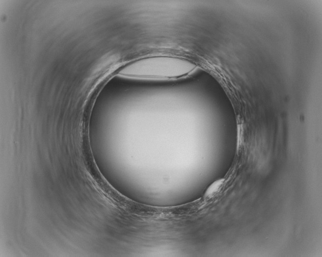 X0000088860243200706080757