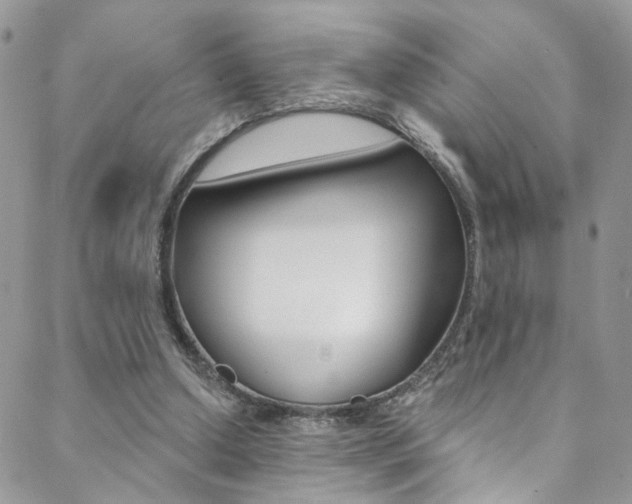X0000088860250200706080758