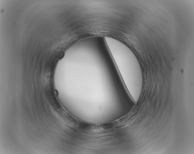 X0000088860263200706080758