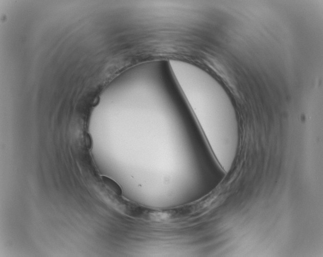 X0000088860265200706080758