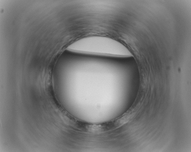 X0000088860273200706080758