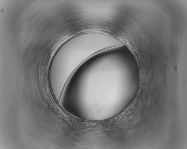 X0000088860289200706080757
