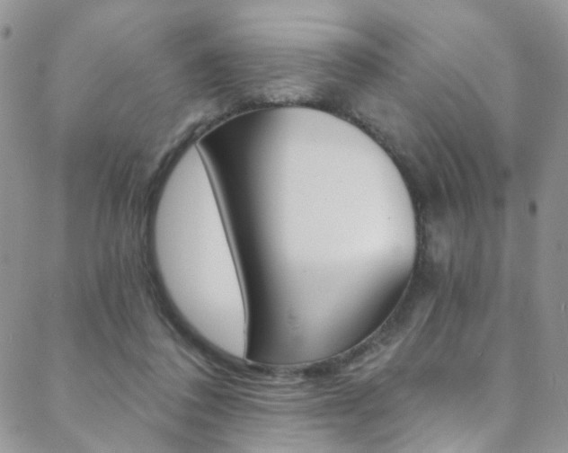 X0000088860308200706080757
