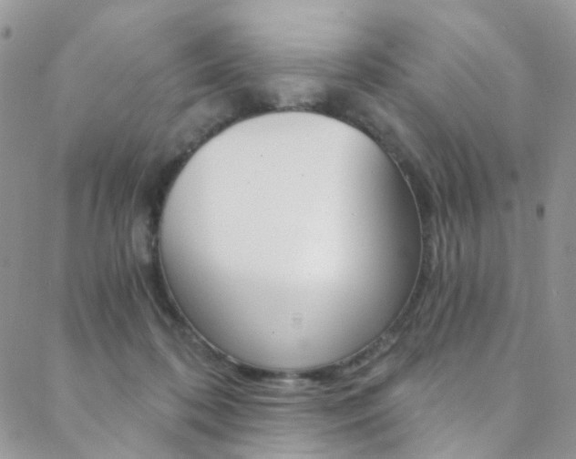 X0000088860316200706080757