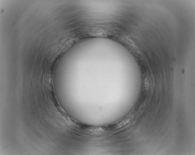 X0000088860322200706080757