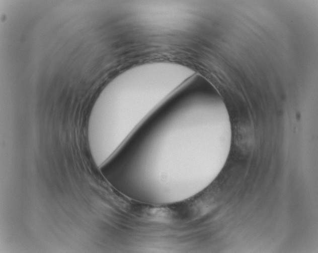 X0000088860324200706080757