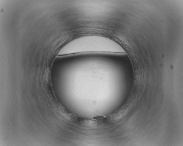 X0000088860325200706080757