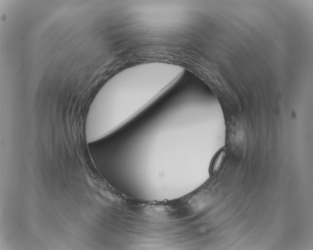 X0000088860332200706080757