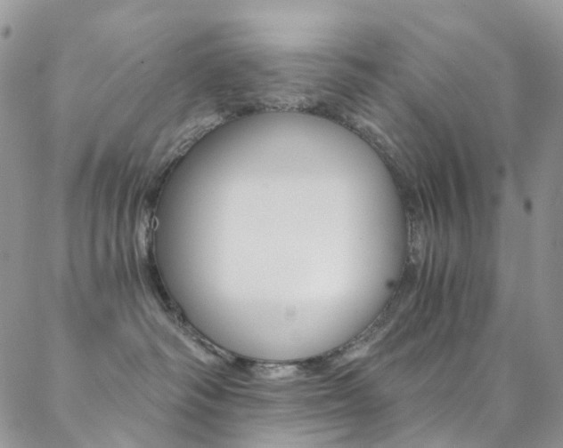 X0000088860334200706080757