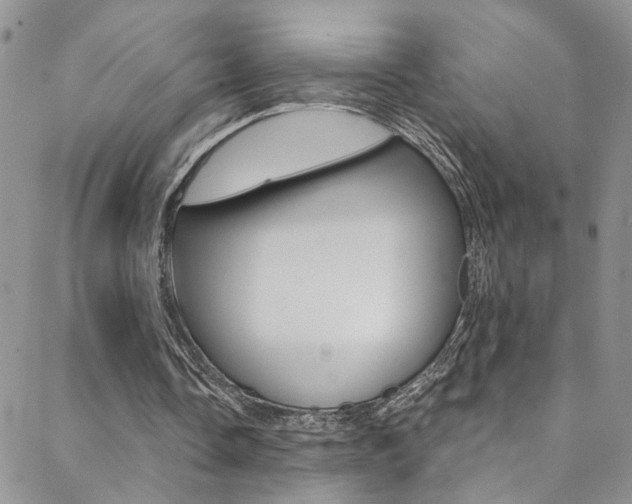 X0000088860338200706080756