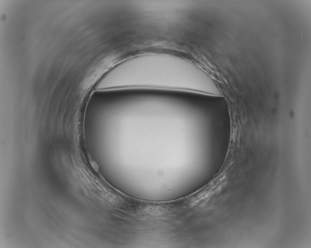 X0000088860341200706080756
