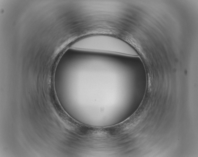 X0000088860348200706080756