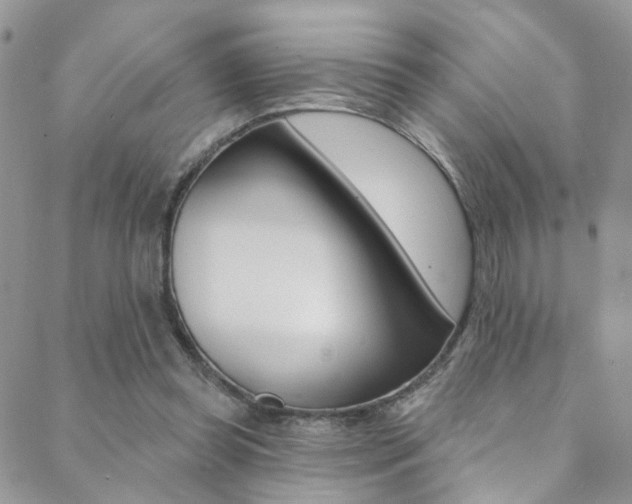 X0000088860349200706080756