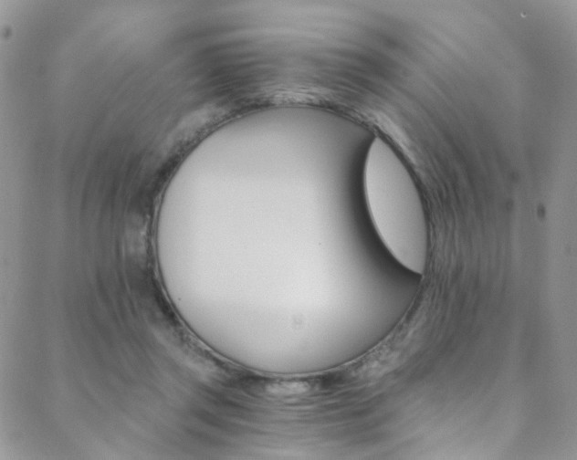 X0000088860357200706080756