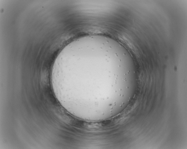 X0000088860359200706080756