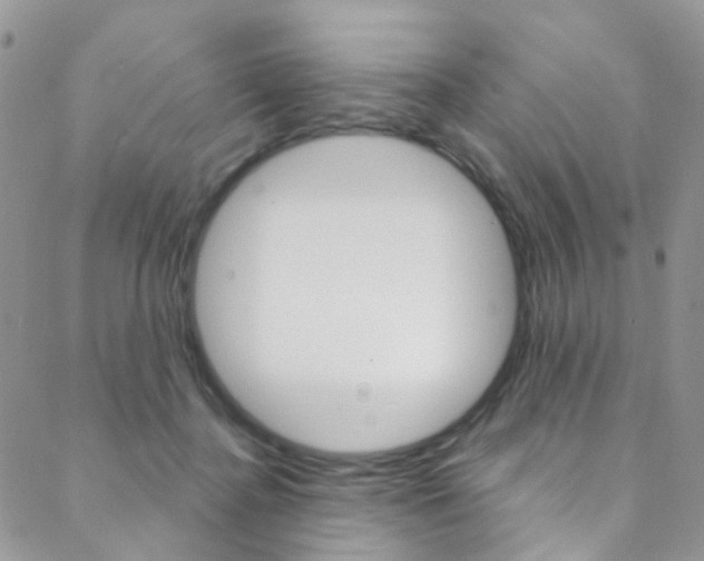 X0000088860364200706080756
