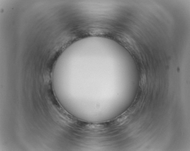 X0000088860367200706080756