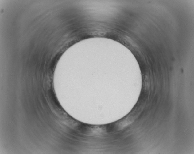 X0000088860370200706080756