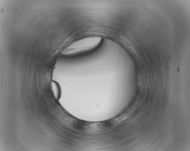 X0000088860382200706080757