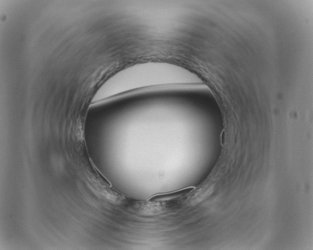 X0000088860384200706080757