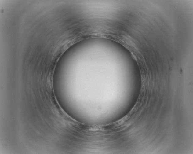 X0000088860415200706080755
